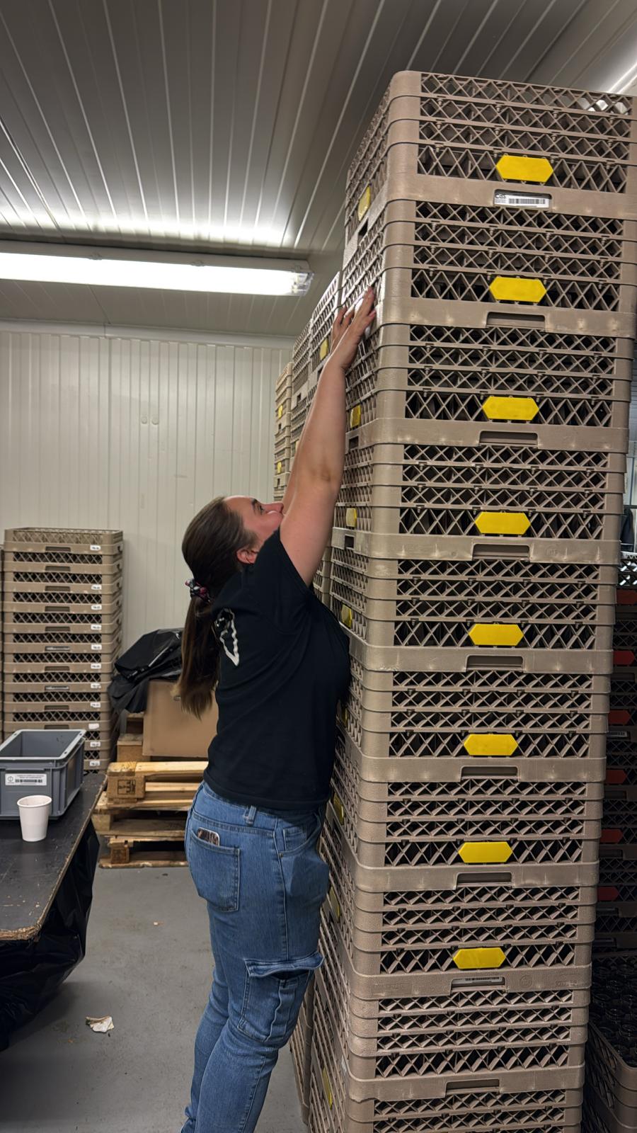 rangement du matériel